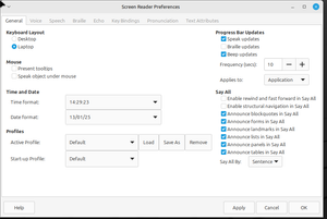 Screen reader preferences dialog box